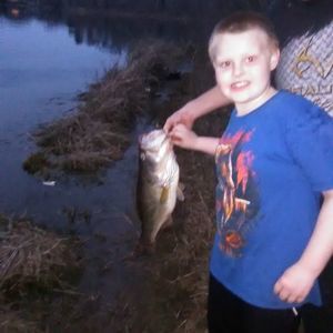 Meet your Posher, Bernice